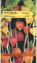 Lampionplant (Physalis franchetti) Zaden