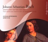 Sonatas Bwv1027 - 29, 1020, 1022 (Ruzickova, Suk)