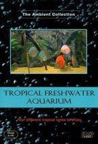 Tropisch Zoetwater Aquarium