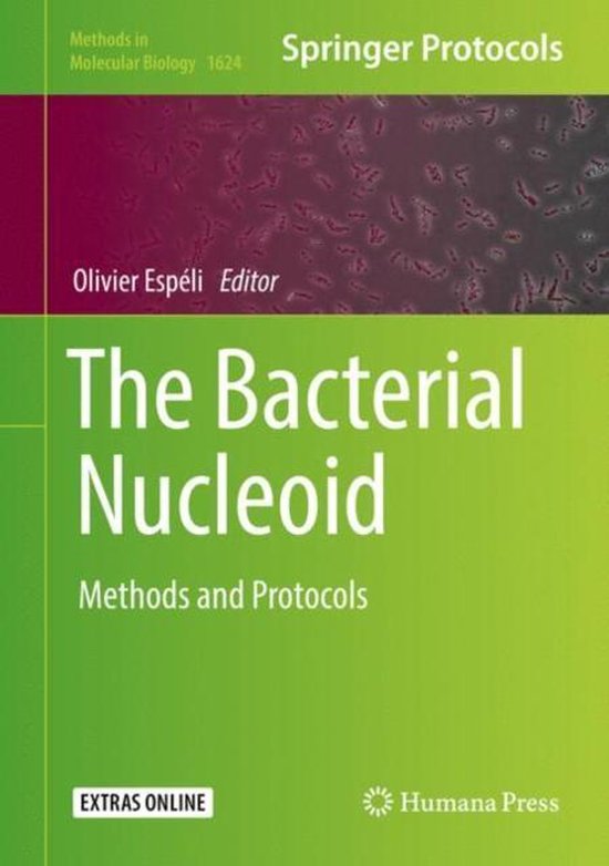 The Bacterial Nucleoid
