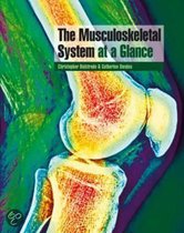 The Musculoskeletal System at a Glance