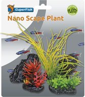 Superfish nano scape plant