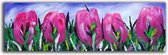 Acrylverf schilderij - Purple Tulips op canvas - 150x50 - woonkamer