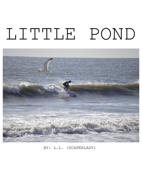 Little Pond - cover