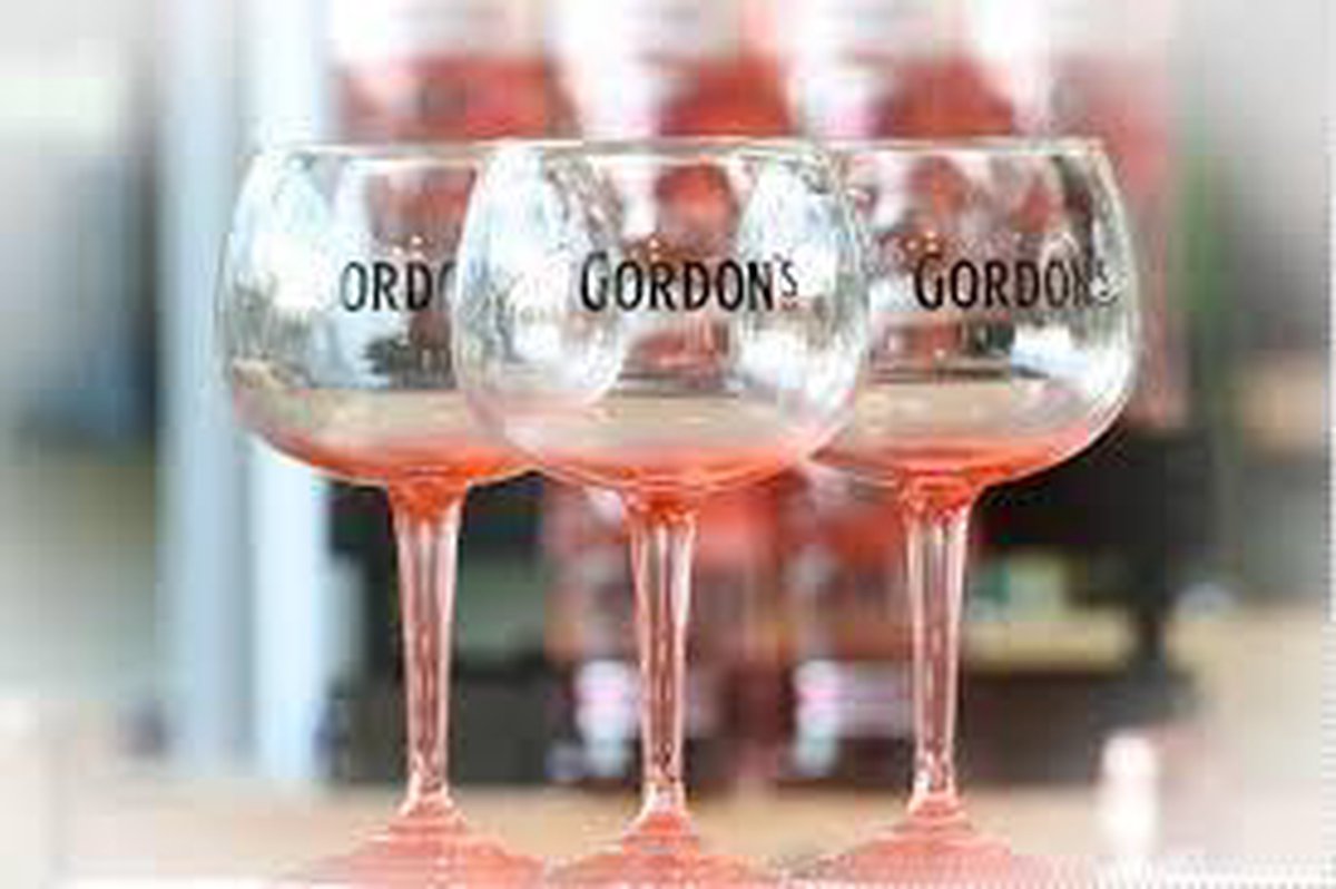 Gordon's Gin Tonic Glazen Pink - 6 Stuks | bol.com