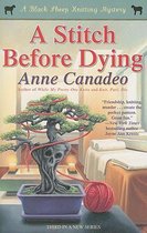 A Stitch Before Dying: Volume 3