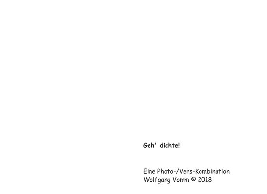 Geh' dichte! - cover