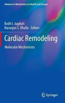 Cardiac Remodeling