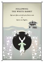 Following the white rabbit: Rule users' effects on the life cycle of holes in rules