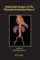 Endoscopic Surgery of the Potential Anatomical Spaces