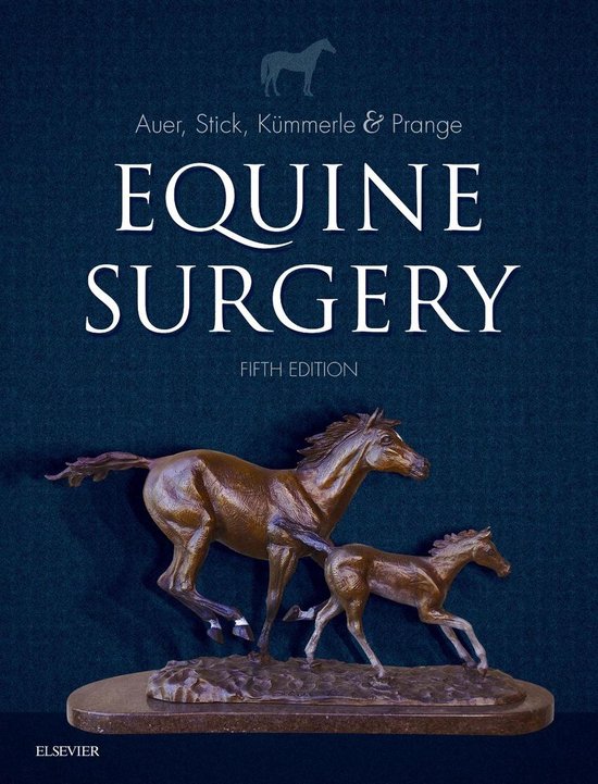 Equine Surgery - cover