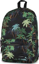 Rugzak O'Neill Boys palm 42x30x14 cm