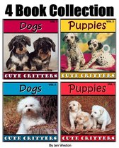 Cute Critters Photography - Puppies & Dogs!