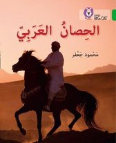 Collins Big Cat Arabic Reading Programme-The Arabian Horse