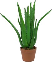 EUROPALMS Aloe Vera Plant, artificial plant, 63cm