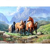 Diamond painting - paarden - 30 x 40 cm