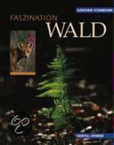 Faszination Wald