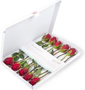 Bloomgift | Rode rozen | Brievenbus rozen | Cadeau per post