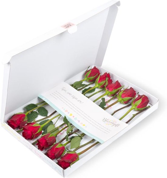 Bloomgift | Rode | Brievenbus rozen | Cadeau per