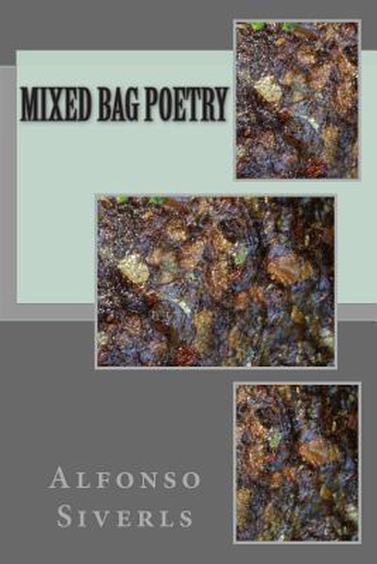 Mixed Bag Poetry, MR Alfonso E Siverls 9781484035764 Boeken