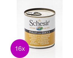 16x Schesir Hondenvoer Kip Pompoen in Gelei 285 gr