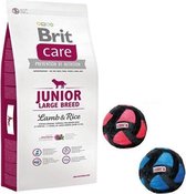 Brit care hypo-allergeen junior large breed lam/rijst 12kg + gratis Kong speelbaal!