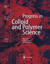 Molecular Organisation on Interfaces