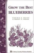 Grow the Best Blueberries