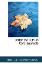 Under the Turk in Constantinople