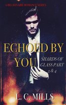 Echoed by You, Shards of Glass