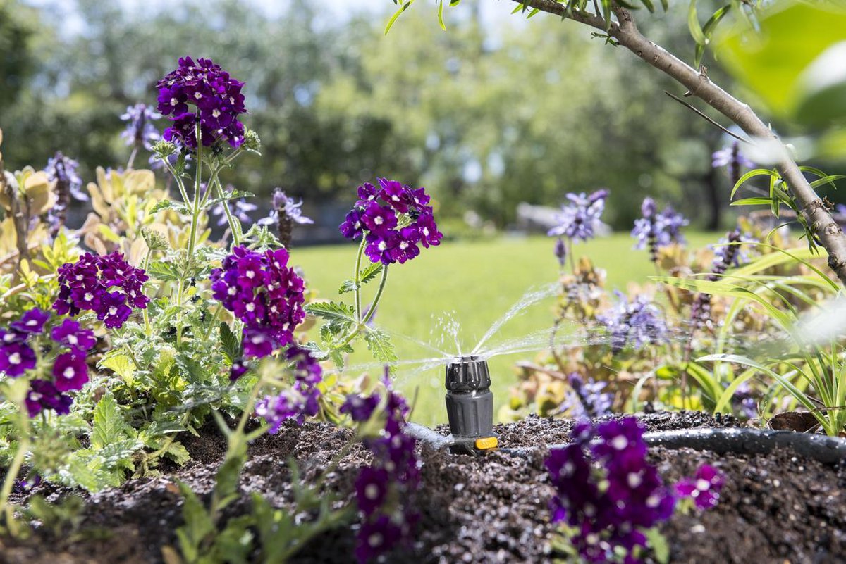 Hozelock Easy Drip Mini sprinkler startset
