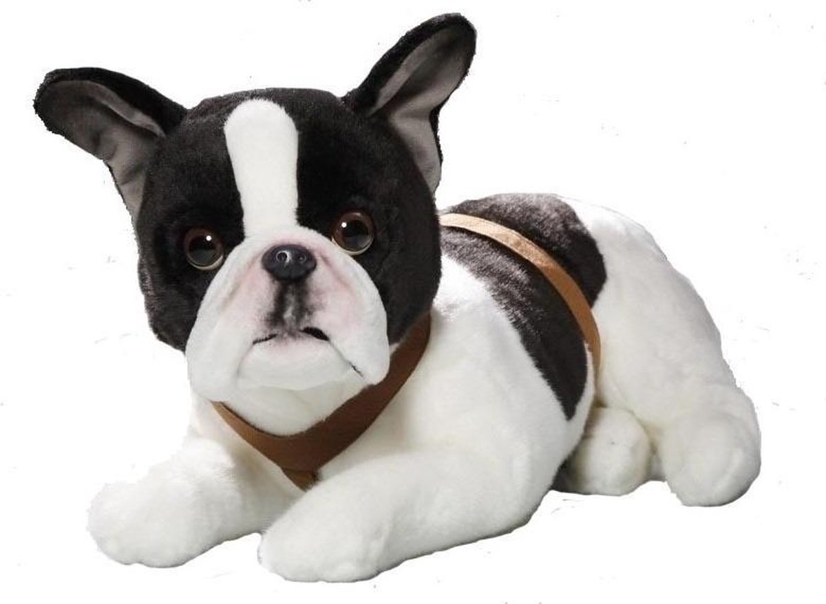 Chien - Rousseau de l'Or Noir De Paris