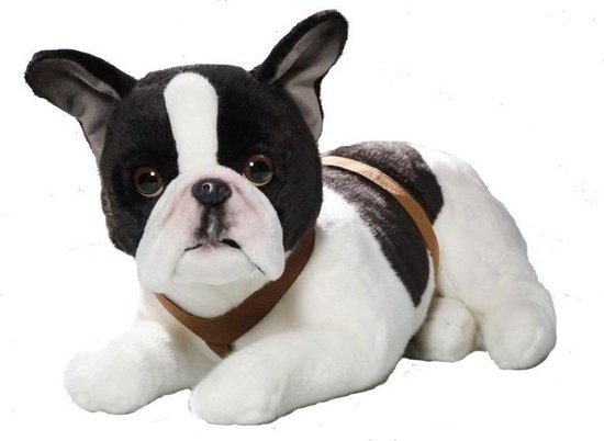 Peluche chien bouledogue français en peluche 50 cm | bol