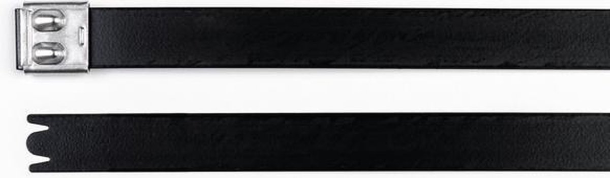 HellermannTyton 111-00299 MBT14XHFC-SS316/SP-BK Kabelbinder Zwart Met kogelsluiting, UV-stabiel 1 stuk(s)