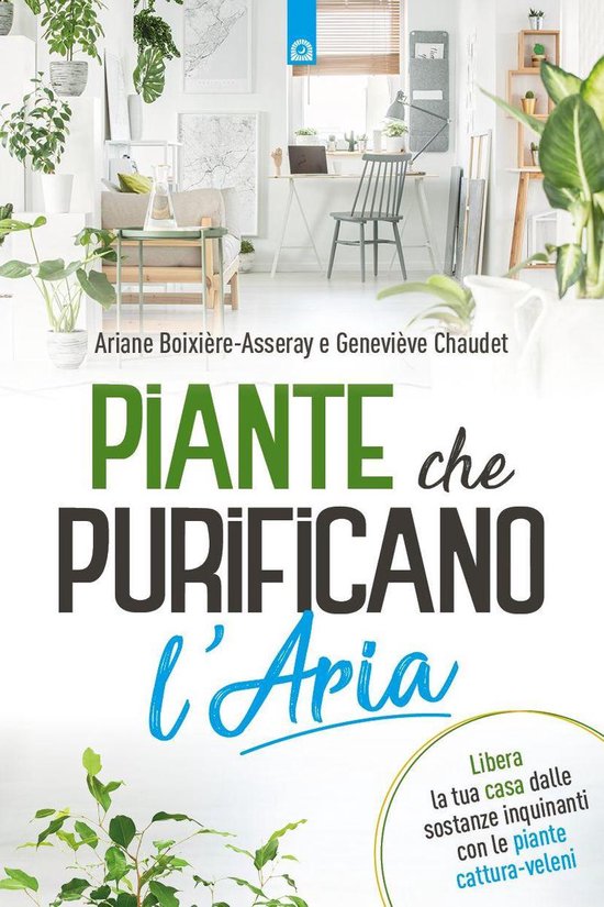 Piante che purificano l'aria - cover