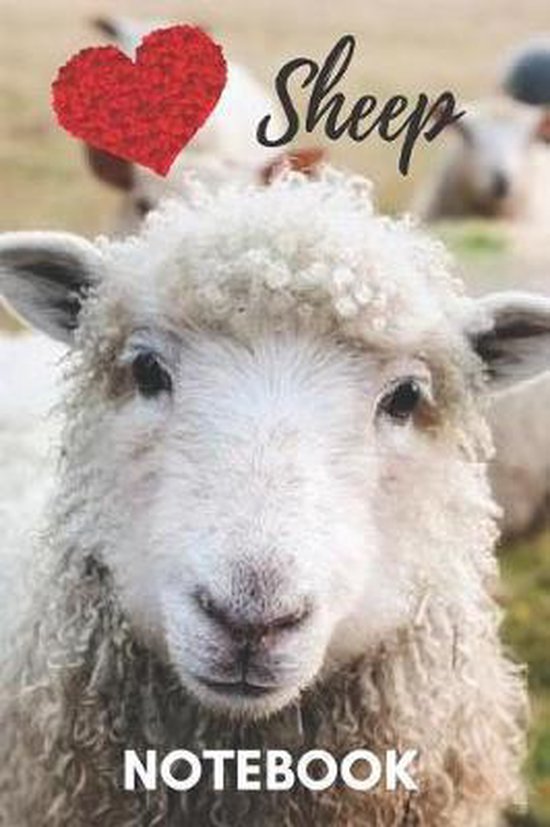 Sheep Notebook, Animal Gifts And Notebooks 9781096744344 Boeken