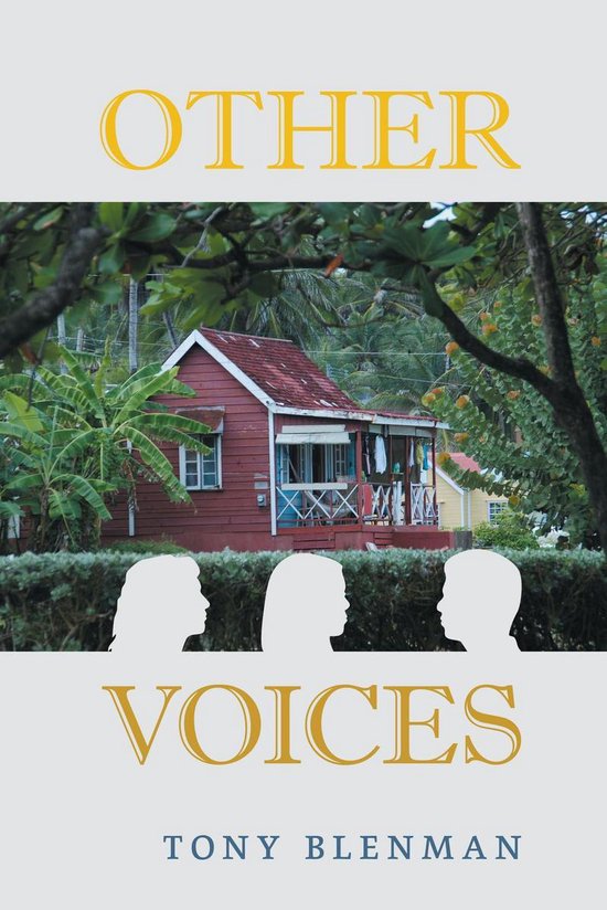 Other Voices - cover