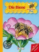 Besserwisser Plus. Die Biene