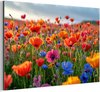 Bloemen - Klaprozen