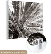 MuchoWow® Glasschilderij 50x50 cm - Schilderij acrylglas - Palmboom - Tropisch - Zwart - Wit - Foto op glas - Muurdecoratie woonkamer - Wanddecoratie slaapkamer - Schilderijen