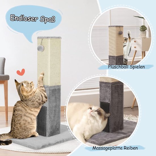 Hoe het Gedrag van Verschillende Kattenrassen te Begrijpen