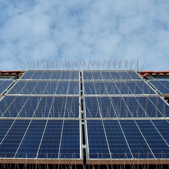 Épingles à pigeons - Acier 300 cm - Pointes anti-pigeons - Épingles à mouettes anti-oiseaux