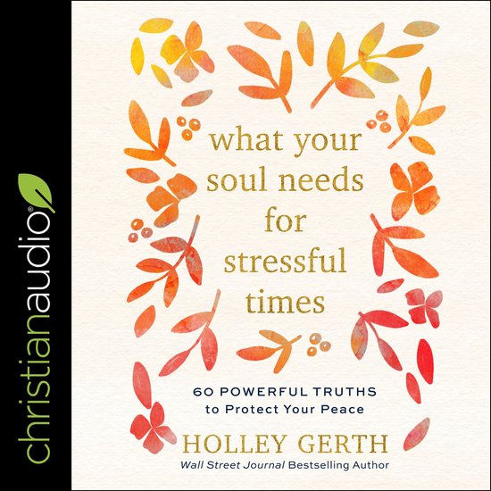 What Your Soul Needs for Stressful Times - cover