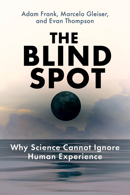 The Blind Spot - cover