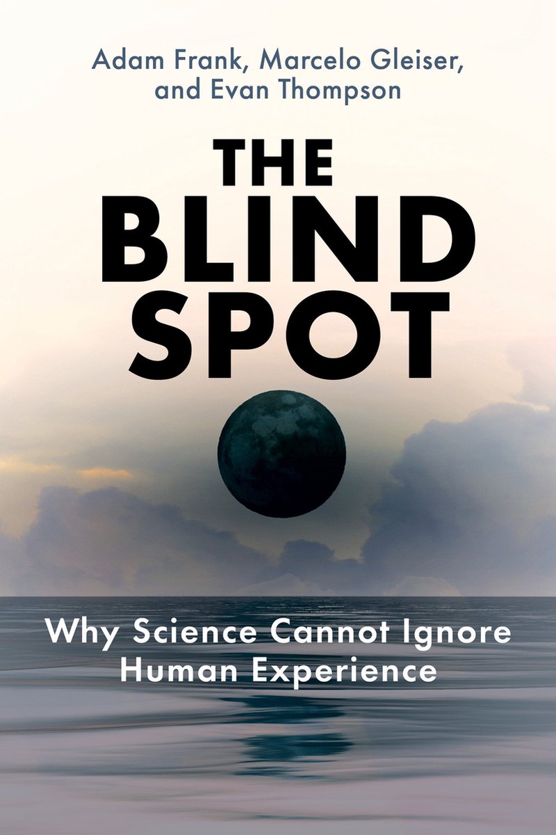 Omslag van The Blind Spot