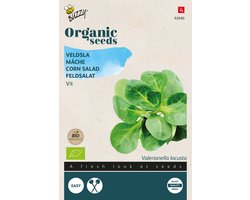 Buzzy® Organic Veldsla Grote Noordhollandse (BIO) - Malse en zachte blaadjes voor winterse salades