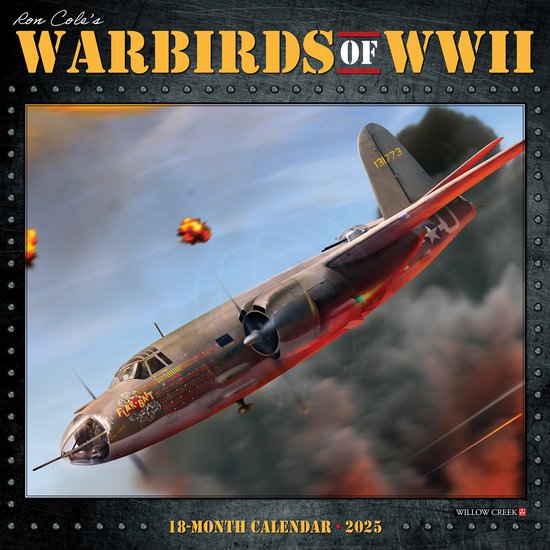 WWII Warbirds 2025 Wall Calendar - 12x12 Monthly Planner For Aviation Fans