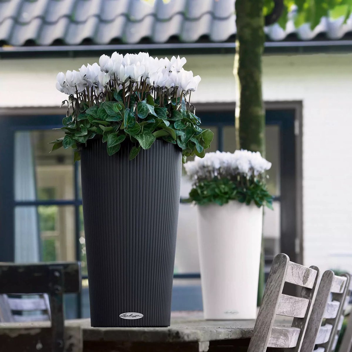 Lechuza Cilindro Color 23 - Planter - with removable inner pot