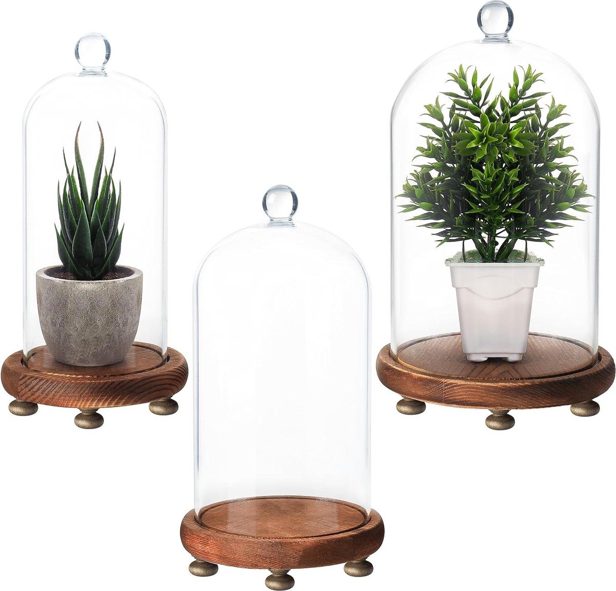 3-Pak Glazen Stolp Potten met Houten Kurken Basis - Decoractieve Tafeltop Display - Klein Middel & Grote Maten - Doorzichtig - Trays voor Fee Lichten Kopstukken en Antiek ornament op voet