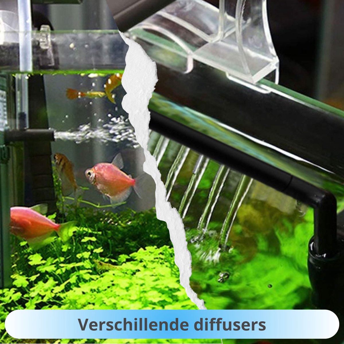 AquaKonings Aquariumfilter 200L/H 0L-50L thumbnail 5